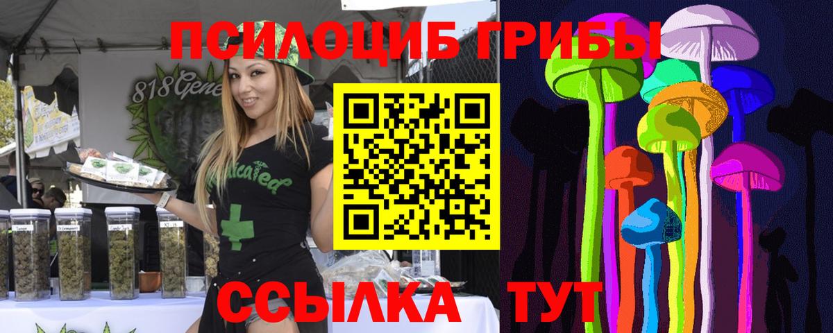 цена наркотик  Вход с VPN  Оренбург  Псилоцибиновые грибы MAGIC MUSHROOMS 