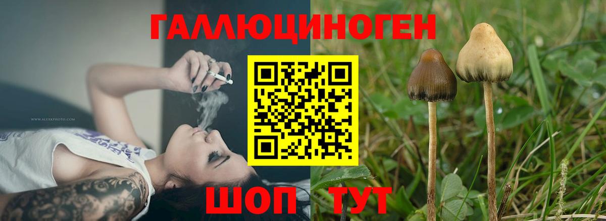 Псилоцибиновые грибы MAGIC MUSHROOMS Оренбург